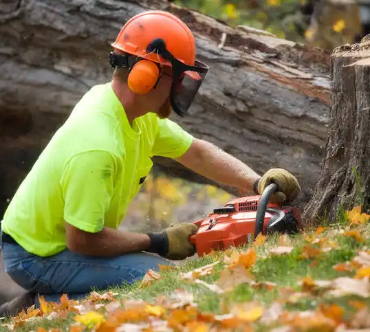 tree services Waubun